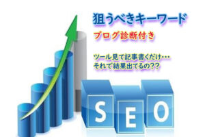 SEO対策！事業ブログ診断+キーワード調査致します。