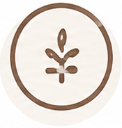 収益化